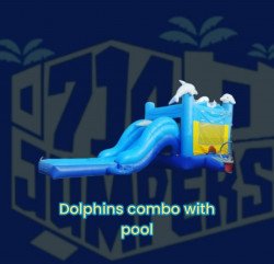 1652765913976 Screenshot 20220516 143347 Messages 1652920497 4 in 1 Dolphin Twins combo bounce house