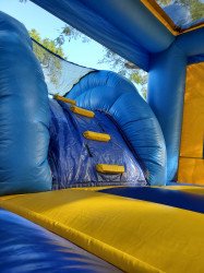 1652765961249 20220116 100706 1652920497 4 in 1 Dolphin Twins combo bounce house