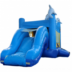 4 in 1 Dolphin Twins combo bounce house