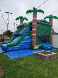 20220402 093129 1652838080 4 in 1 Tropical blue palms combo bounce house