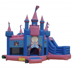 Princess castle combo bounce house