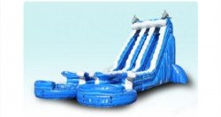 22' Dolphin dual lane waterslide