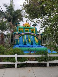 20220821 104040 1673238745 22' Tropical sun dual lane waterslide