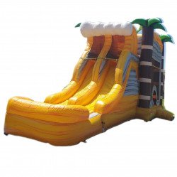 4 in 1 Yellow Tropical dual slide combo bounce house