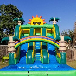 IMG 20180726 210534 804 1652809035 22' Tropical sun dual lane waterslide