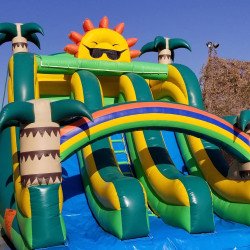 IMG 20180726 210534 807 1652809035 22' Tropical sun dual lane waterslide