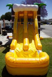 Screenshot 20220517 192125 Messenger 1652841089 4 in 1 Yellow Tropical dual slide combo bounce house