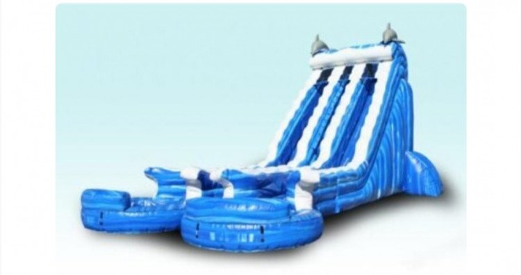 22' Dolphin dual lane waterslide