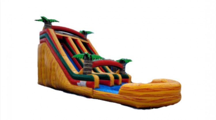 22' Fiesta Palm double lane waterslide