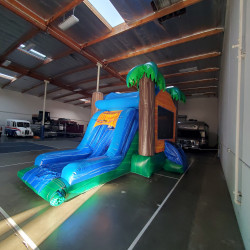 20231014 171326 1729286407 4 in 1 Tropical Breeze combo bounce house. #009