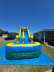 ef523080 e373 496c 98a5 ef005a171871 1746913097 18' Tropical Wave Slide. #043